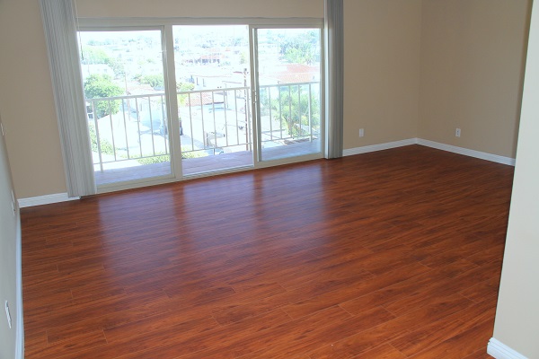 Huge Living Room with hardwood Floor Opening to large Balcony