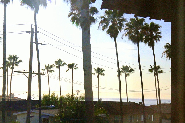 Ocean View from Unit