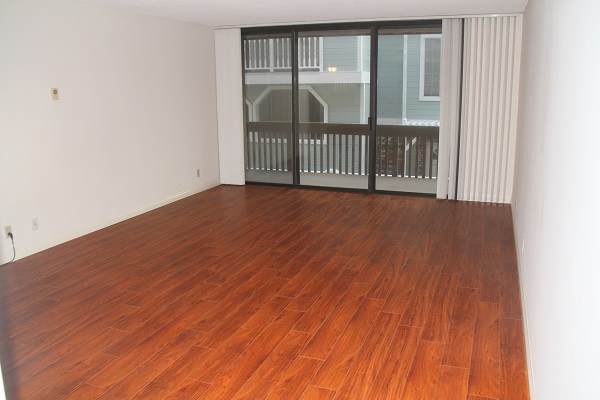 Huge Living Room with hardwood Floor Opening to Large Balcony